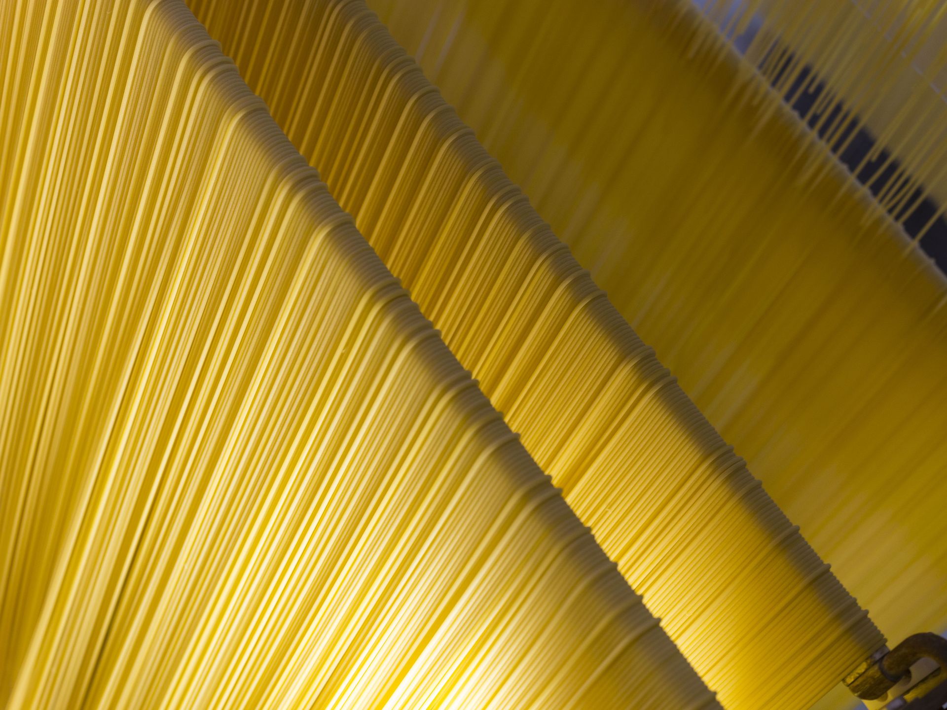 Frisch produzierte Spaghetti